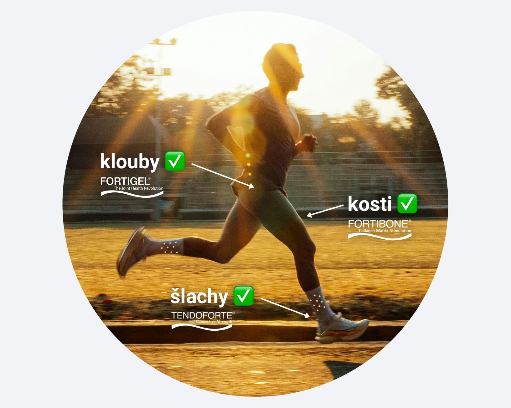 Inkospor Active Kolagen – komplexní podpora kloubů, šlach a kostí